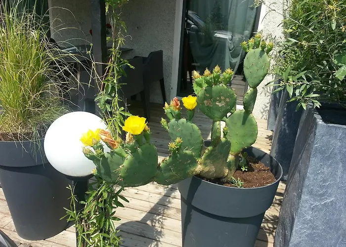 Casa Al Lido Locarno