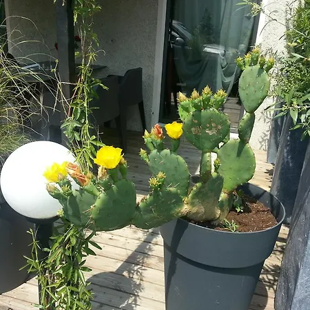 Casa Al Lido Locarno